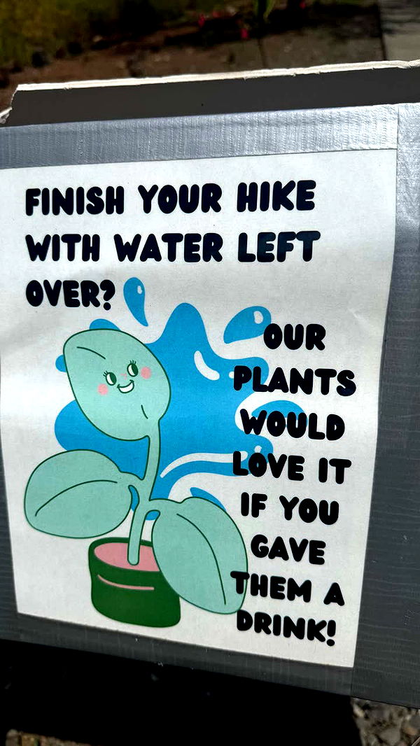 julia.filippo image ~ Altpins