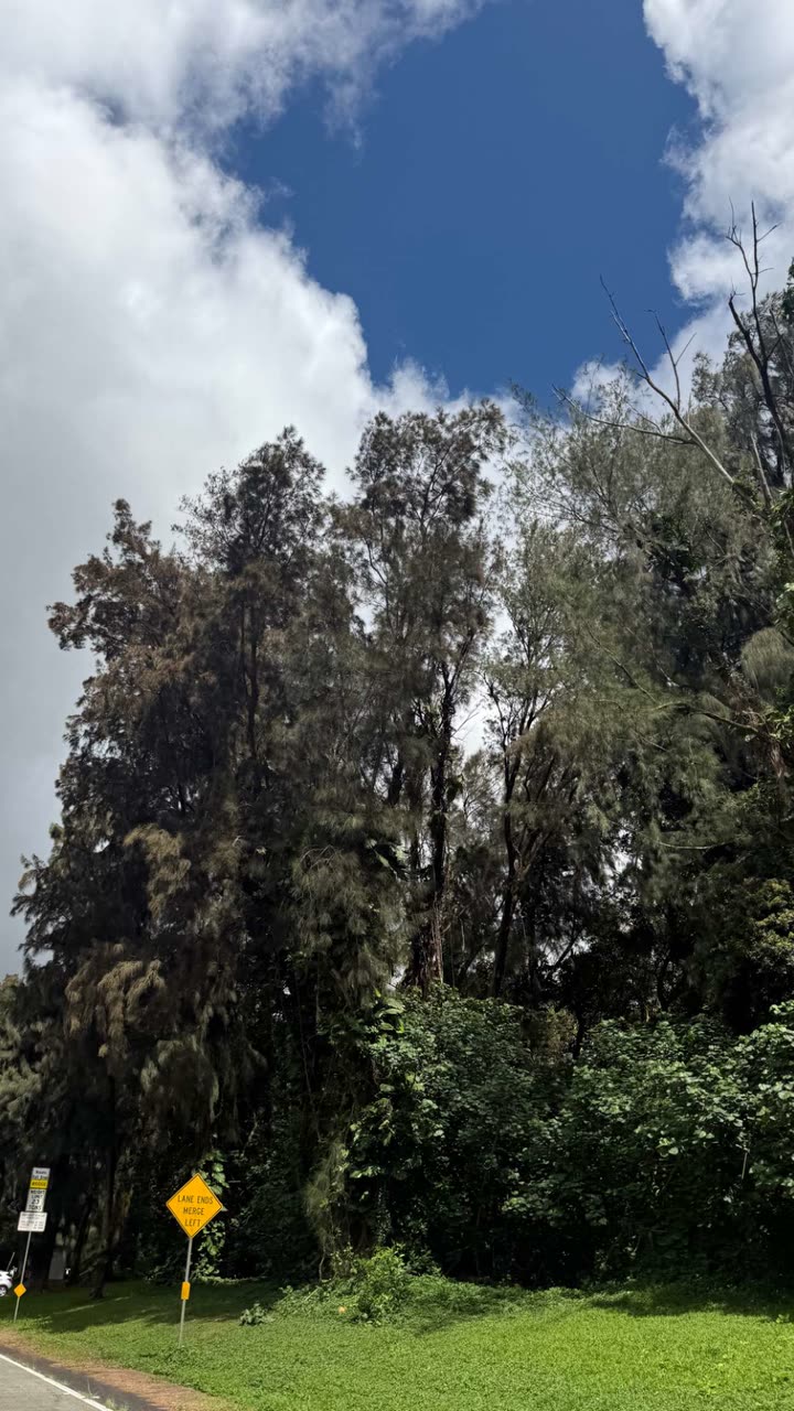 julia.filippo snapchat image archive image