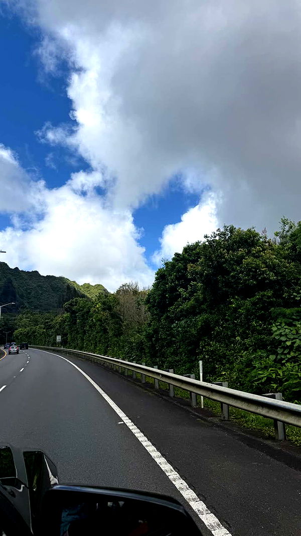 julia.filippo image ~ Altpins