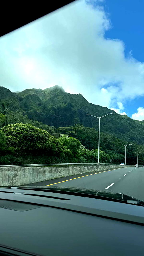 julia.filippo image ~ Altpins