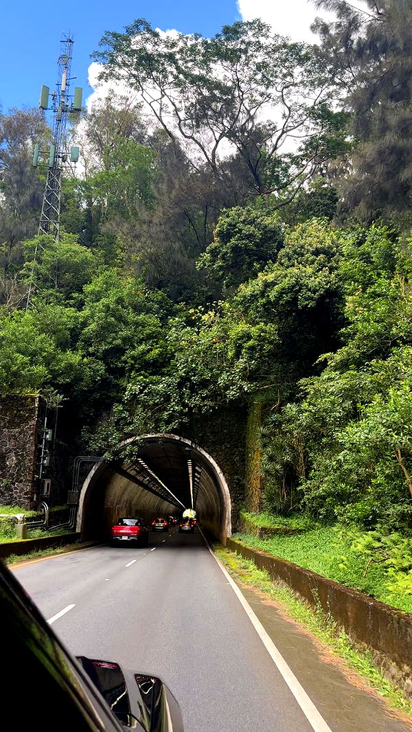 julia.filippo image ~ Altpins