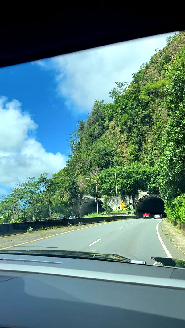 julia.filippo image ~ Altpins