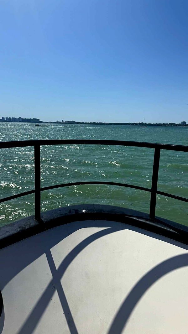 julia.filippo image ~ Altpins