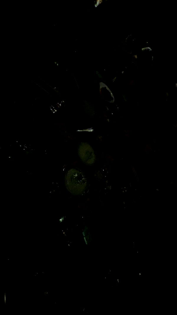 julia.filippo image ~ Altpins