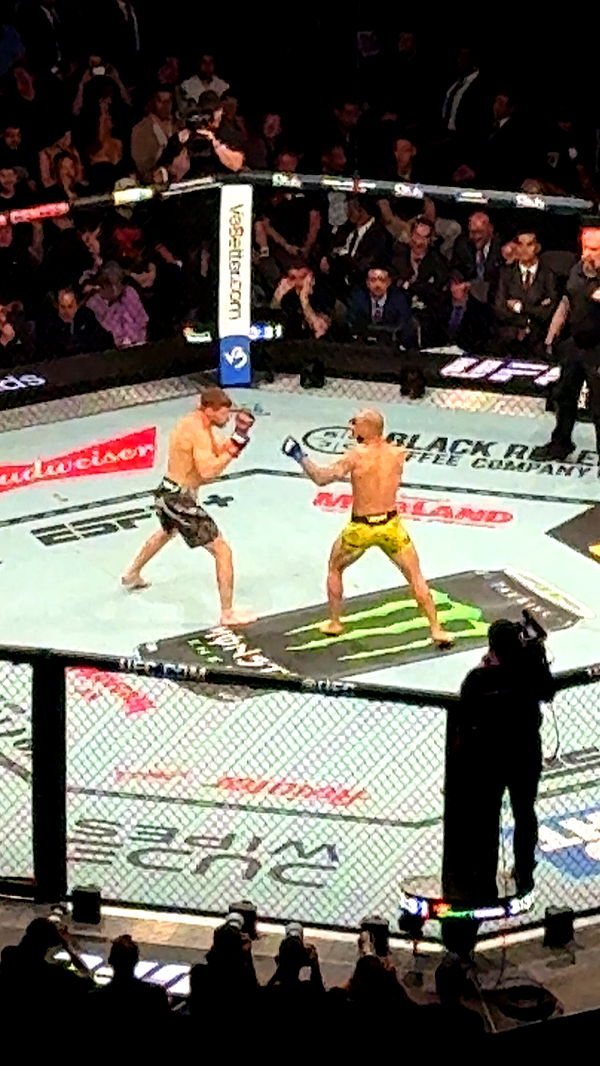 julia.filippo image ~ Altpins