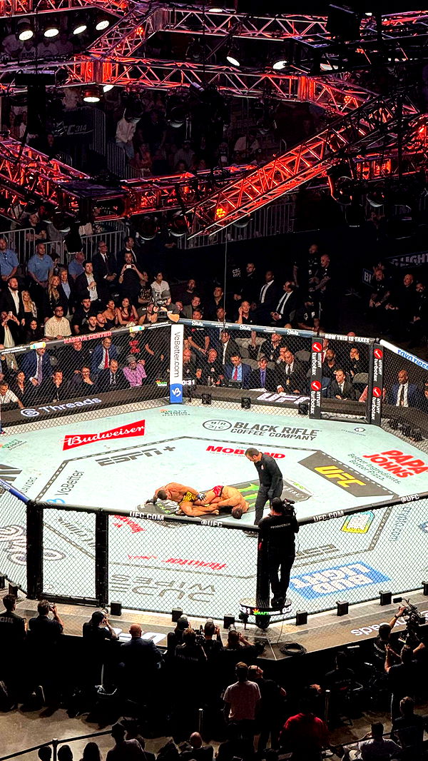 julia.filippo image ~ Altpins