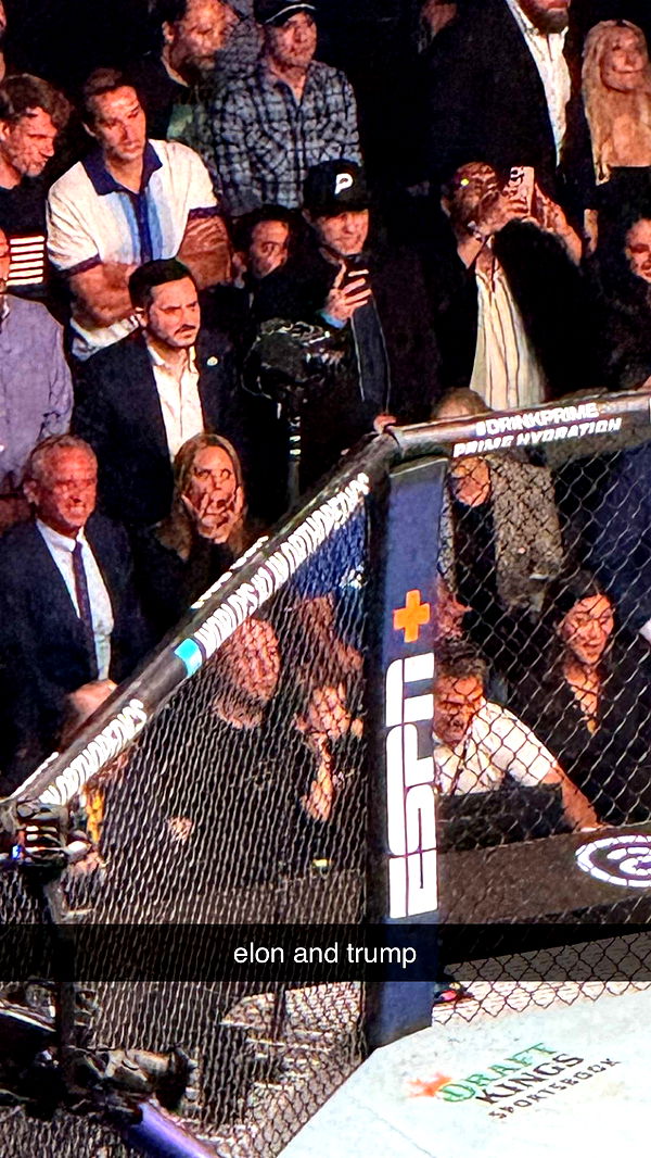 julia.filippo image ~ Altpins