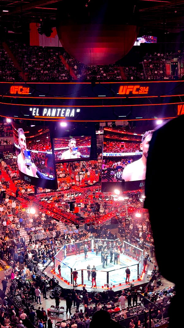 julia.filippo image ~ Altpins