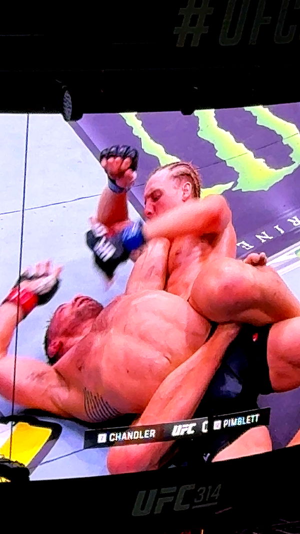 julia.filippo image ~ Altpins