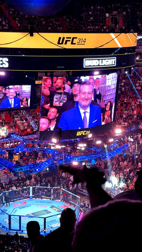 julia.filippo image ~ Altpins