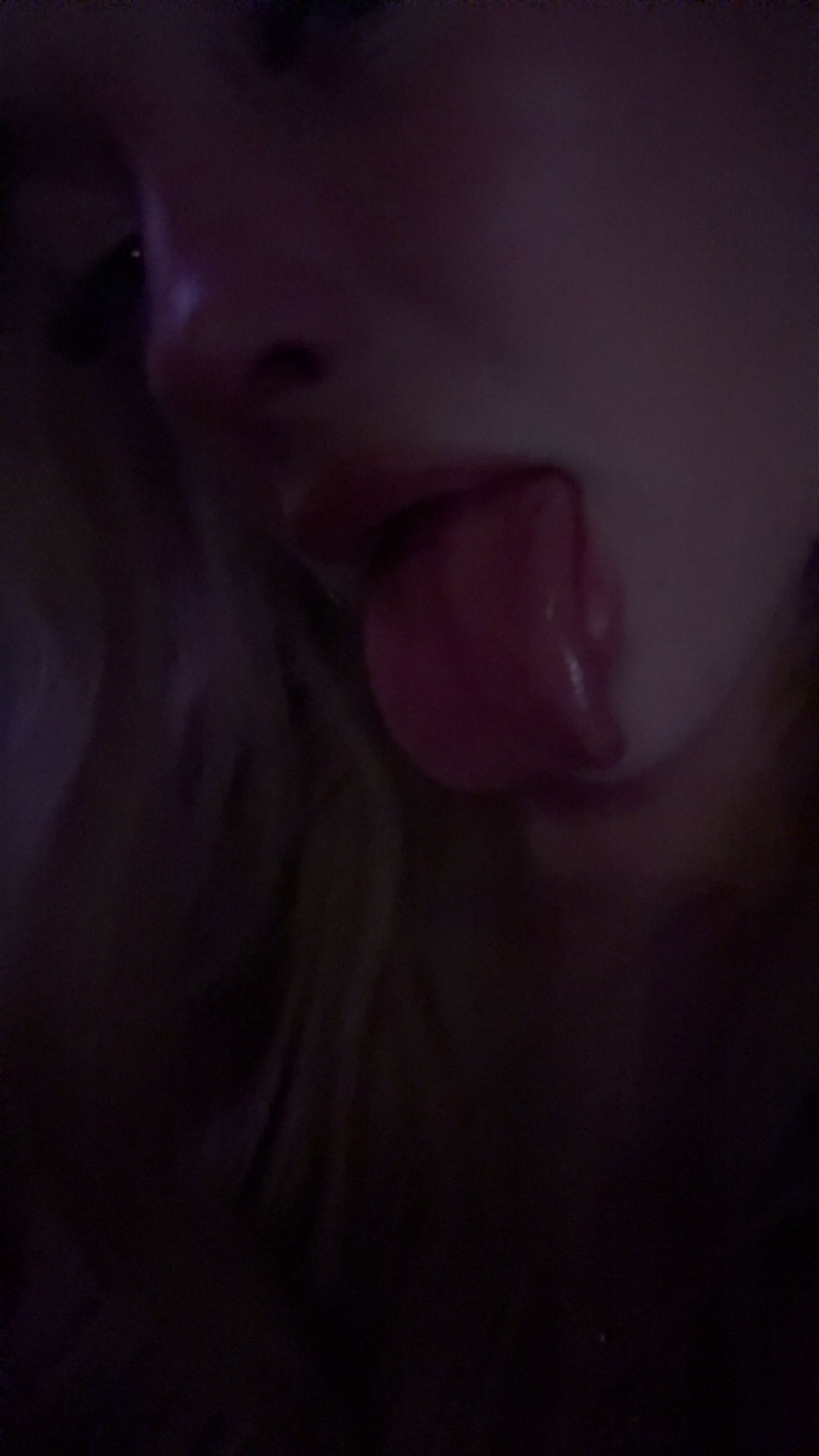 julia.filippo snapchat image archive image