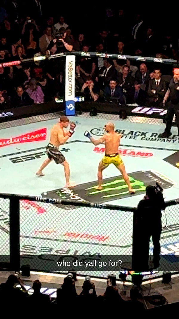 julia.filippo image ~ Altpins