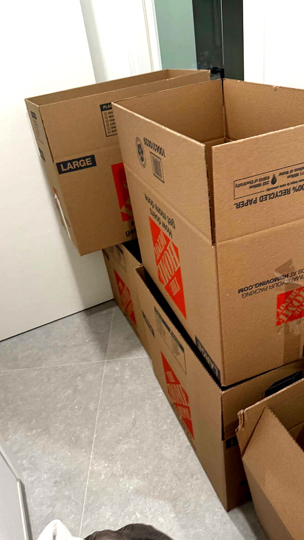 julia.filippo image ~ Altpins