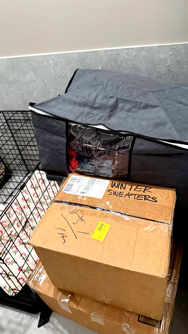 julia.filippo image ~ Altpins