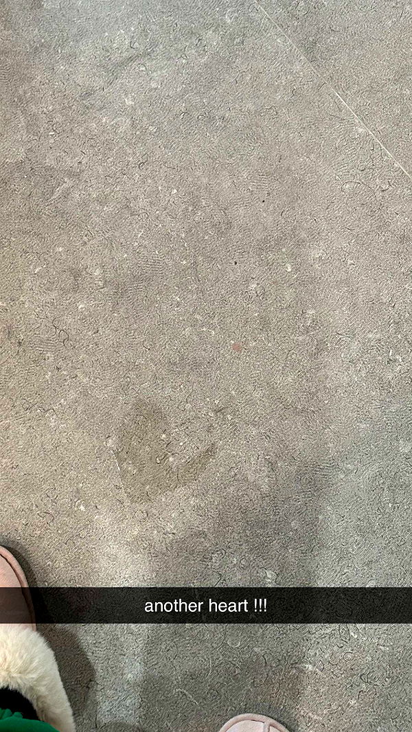 julia.filippo image ~ Altpins