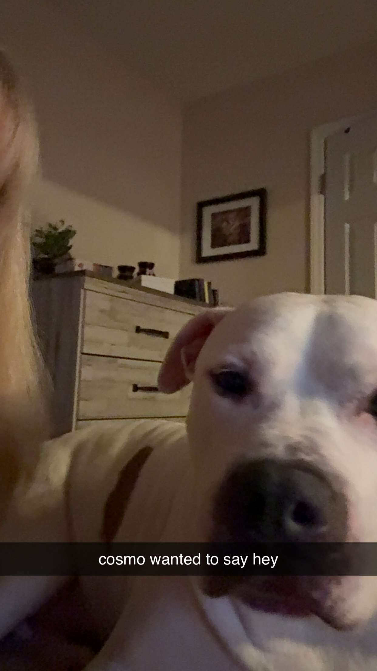 julia.filippo snapchat image archive image