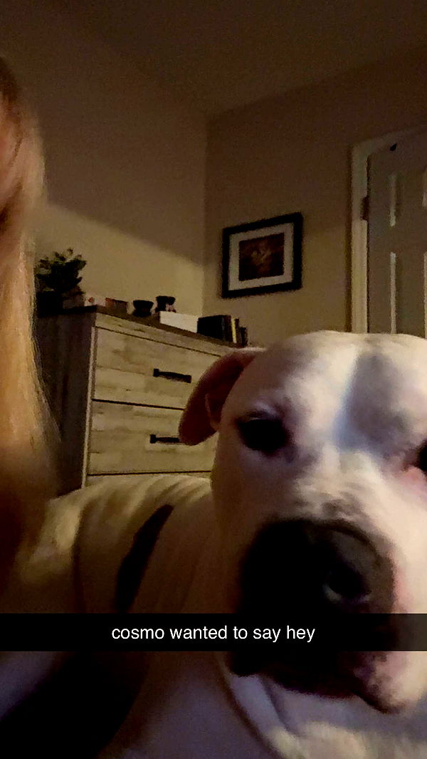 julia.filippo image ~ Altpins