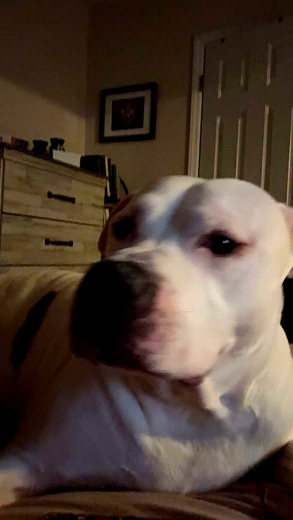 julia.filippo image ~ Altpins