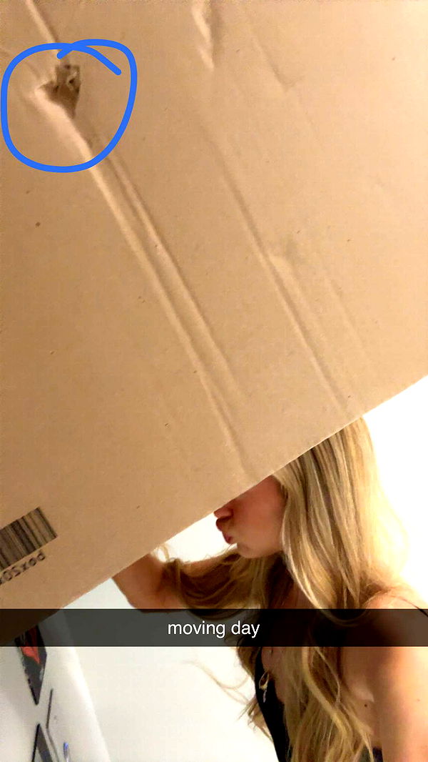 julia.filippo image ~ Altpins