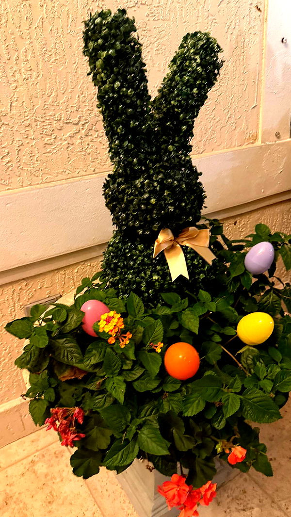 julia.filippo image ~ Altpins