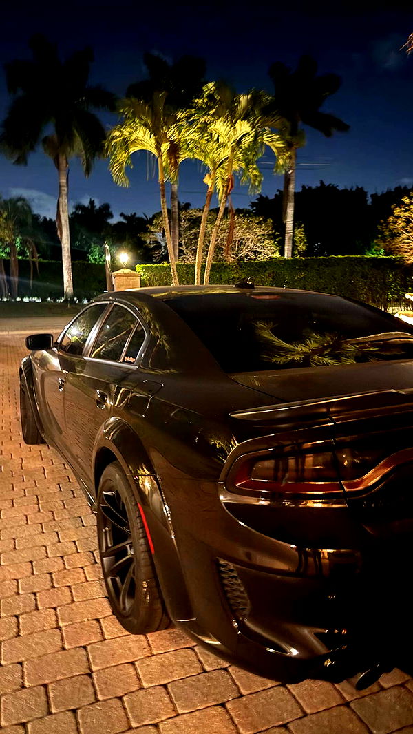 julia.filippo image ~ Altpins