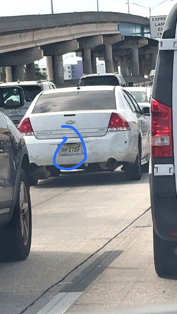 julia.filippo image ~ Altpins