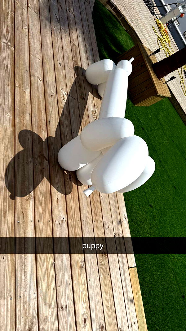 julia.filippo image ~ Altpins