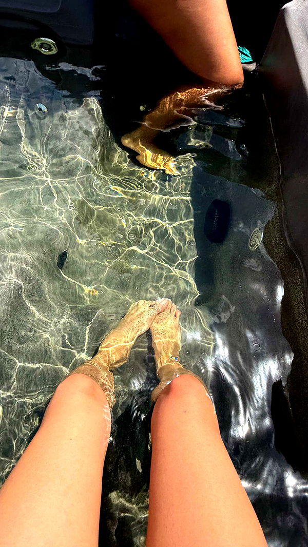 julia.filippo image ~ Altpins