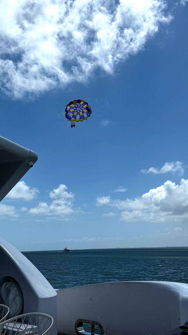 julia.filippo image ~ Altpins