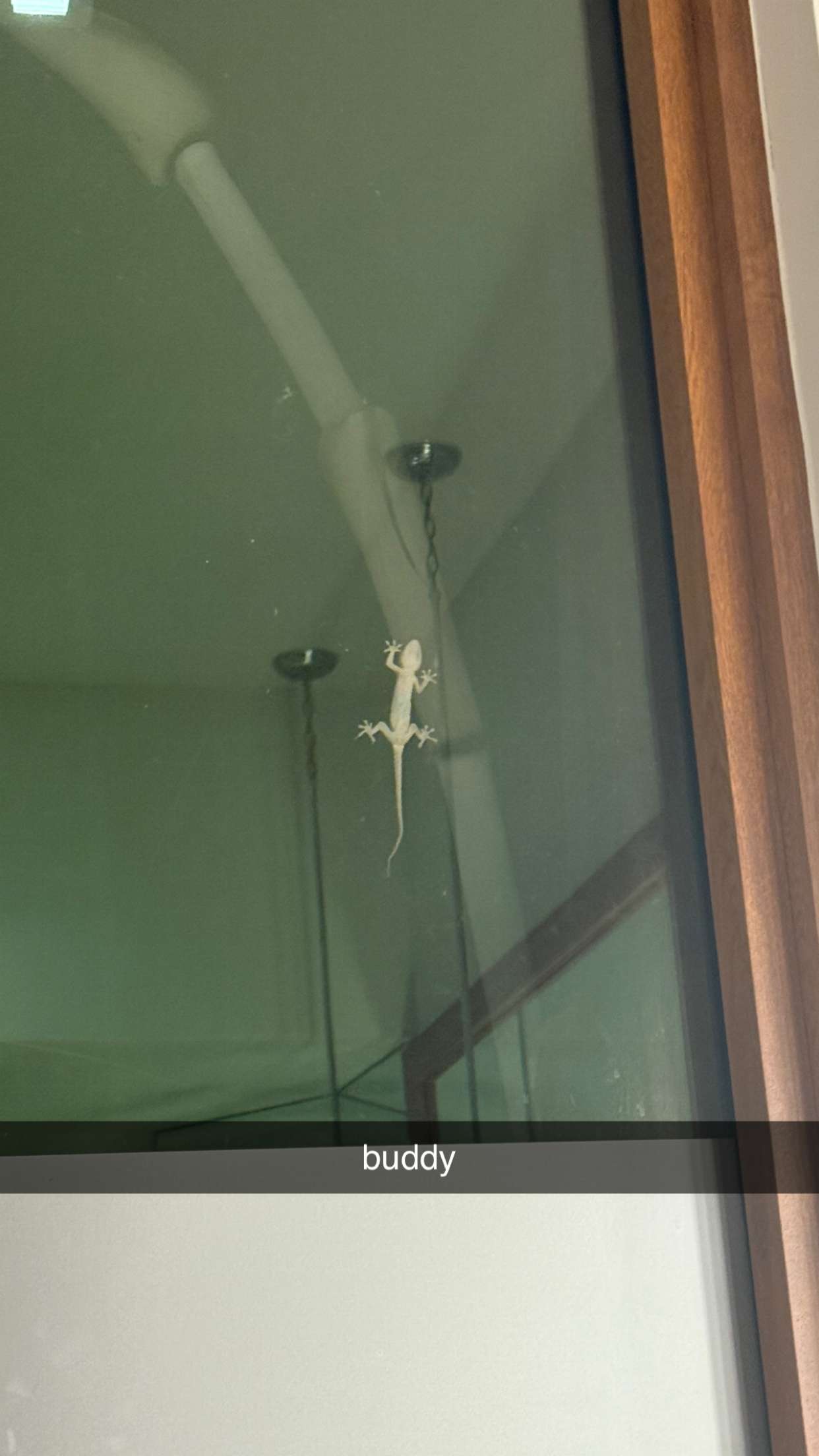 julia.filippo snapchat image archive image