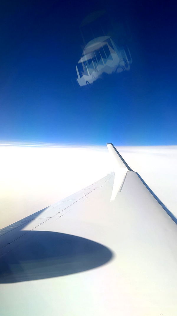 julia.filippo image ~ Altpins