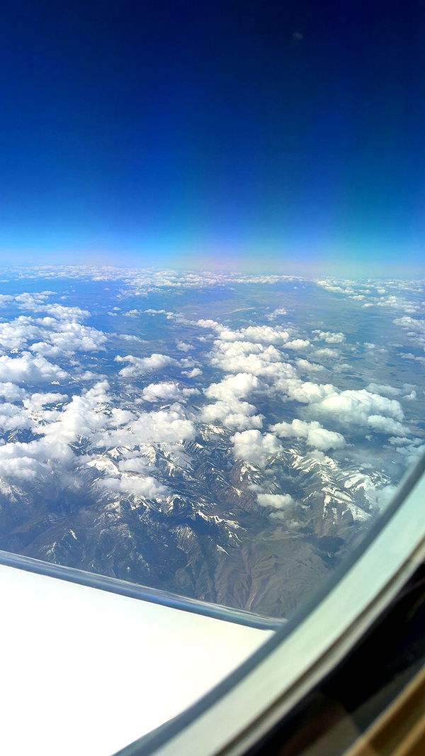 julia.filippo image ~ Altpins