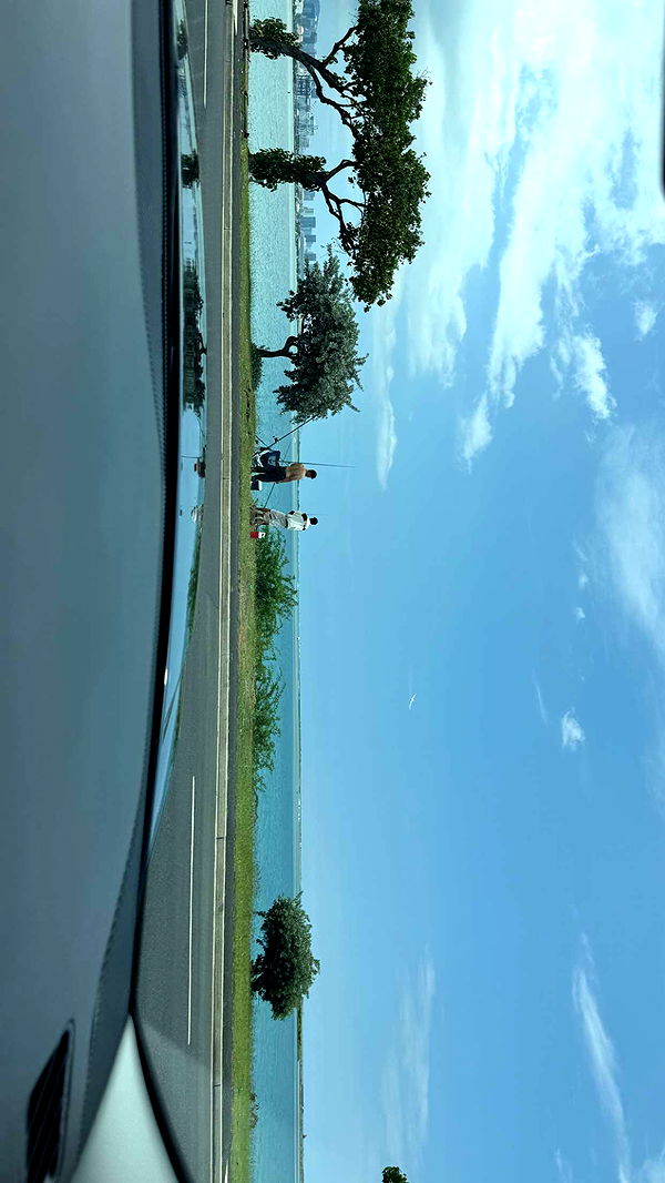 julia.filippo image ~ Altpins