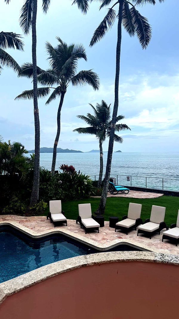 julia.filippo image ~ Altpins