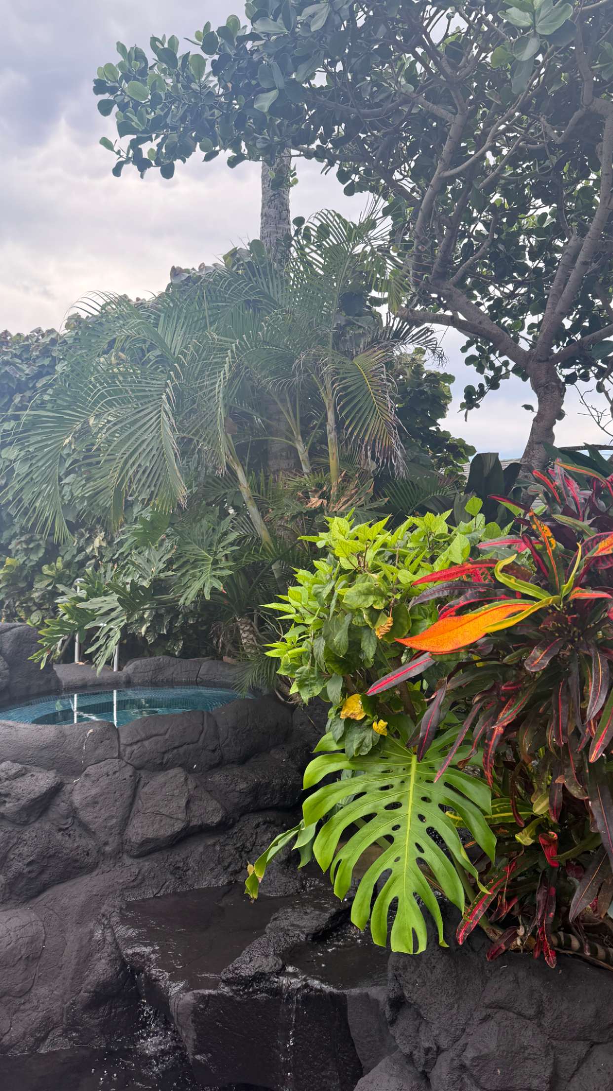 julia.filippo snapchat image archive image