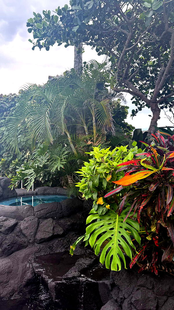 julia.filippo image ~ Altpins