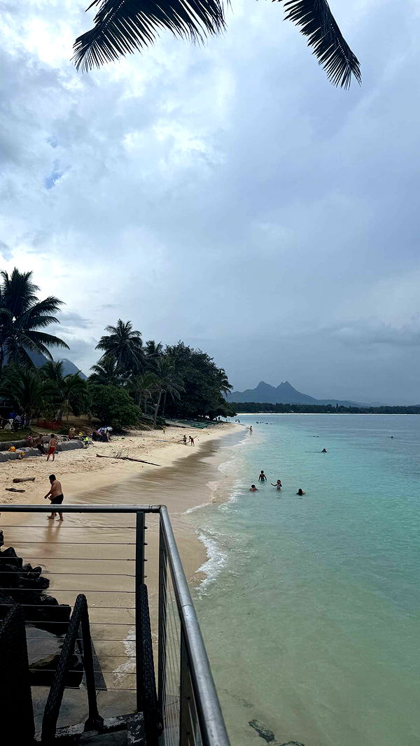 julia.filippo image ~ Altpins