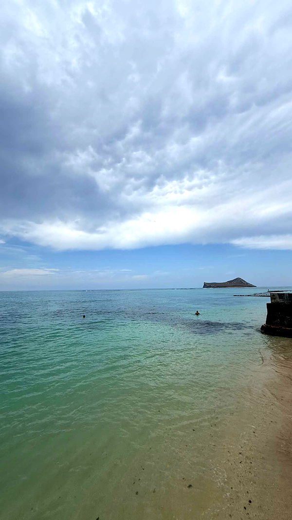 julia.filippo image ~ Altpins