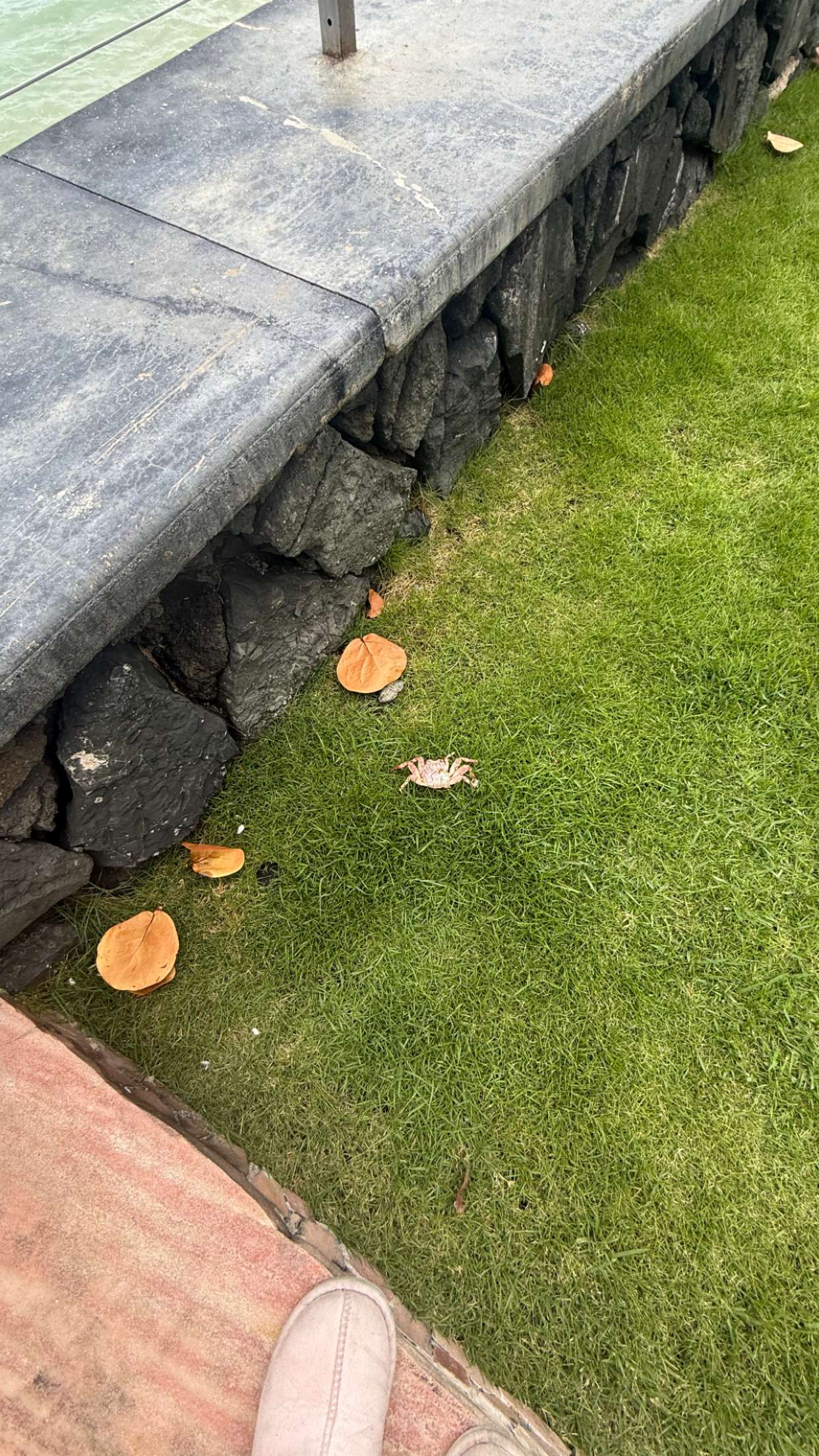 julia.filippo snapchat image archive image