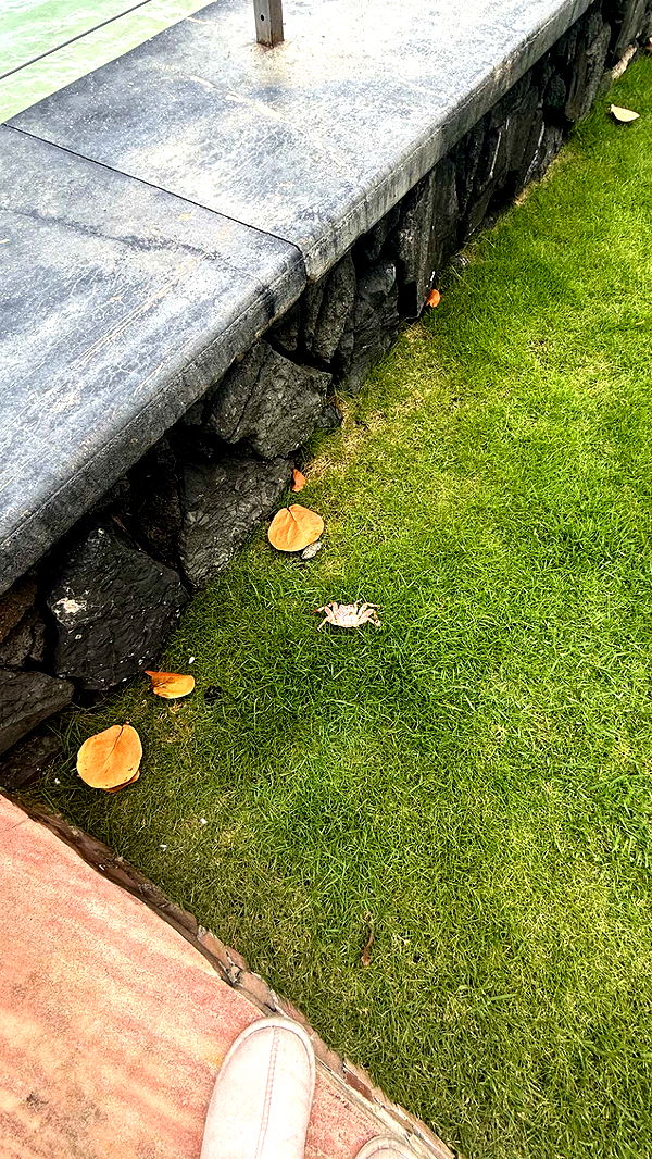 julia.filippo image ~ Altpins