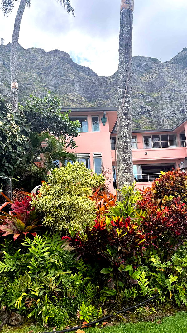 julia.filippo image ~ Altpins