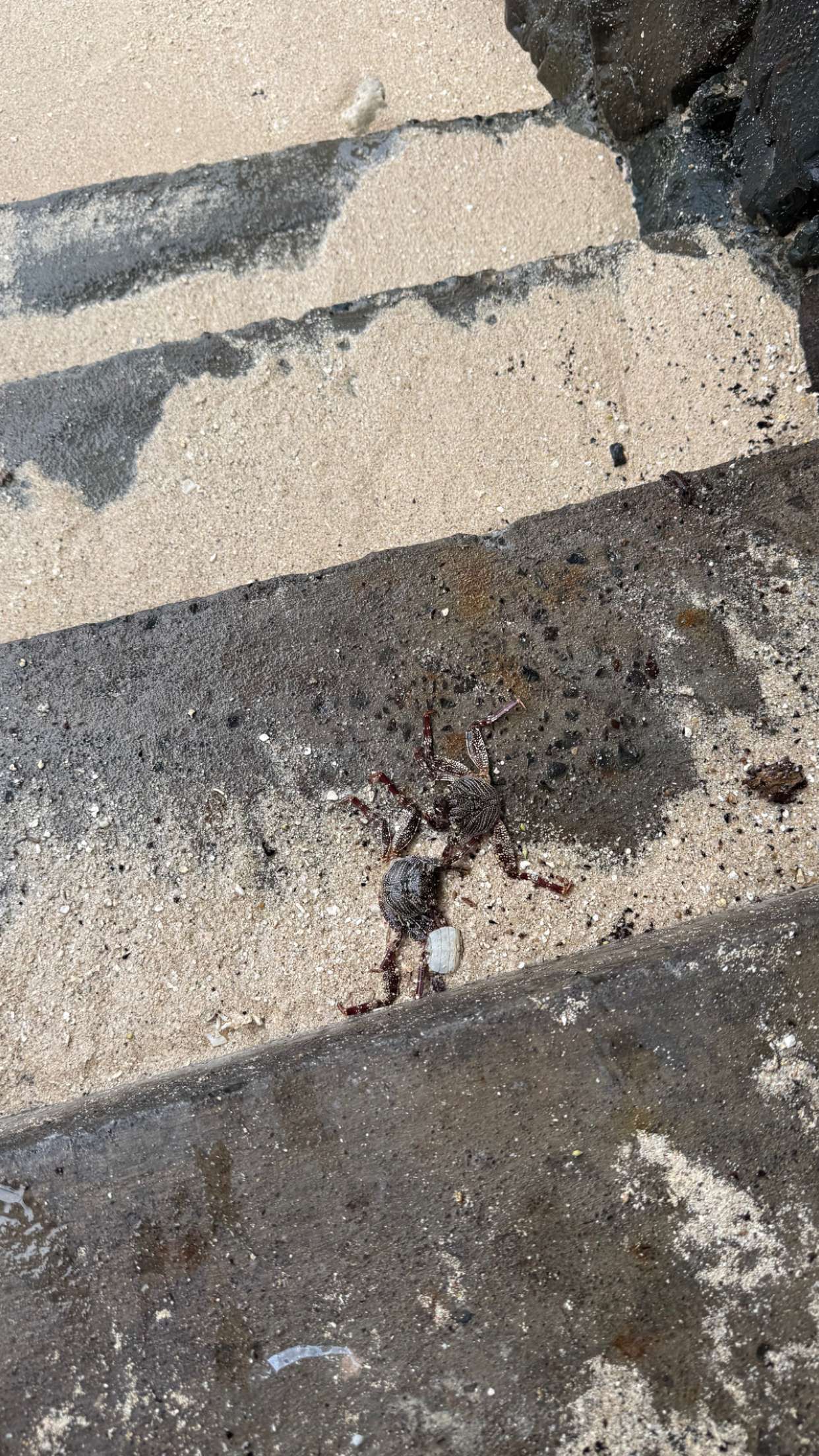 julia.filippo snapchat image archive image