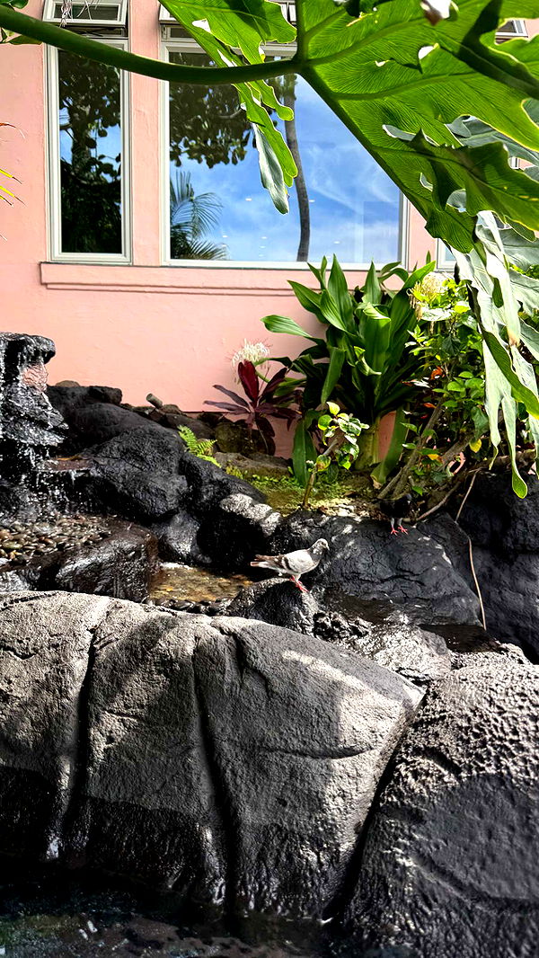 julia.filippo image ~ Altpins