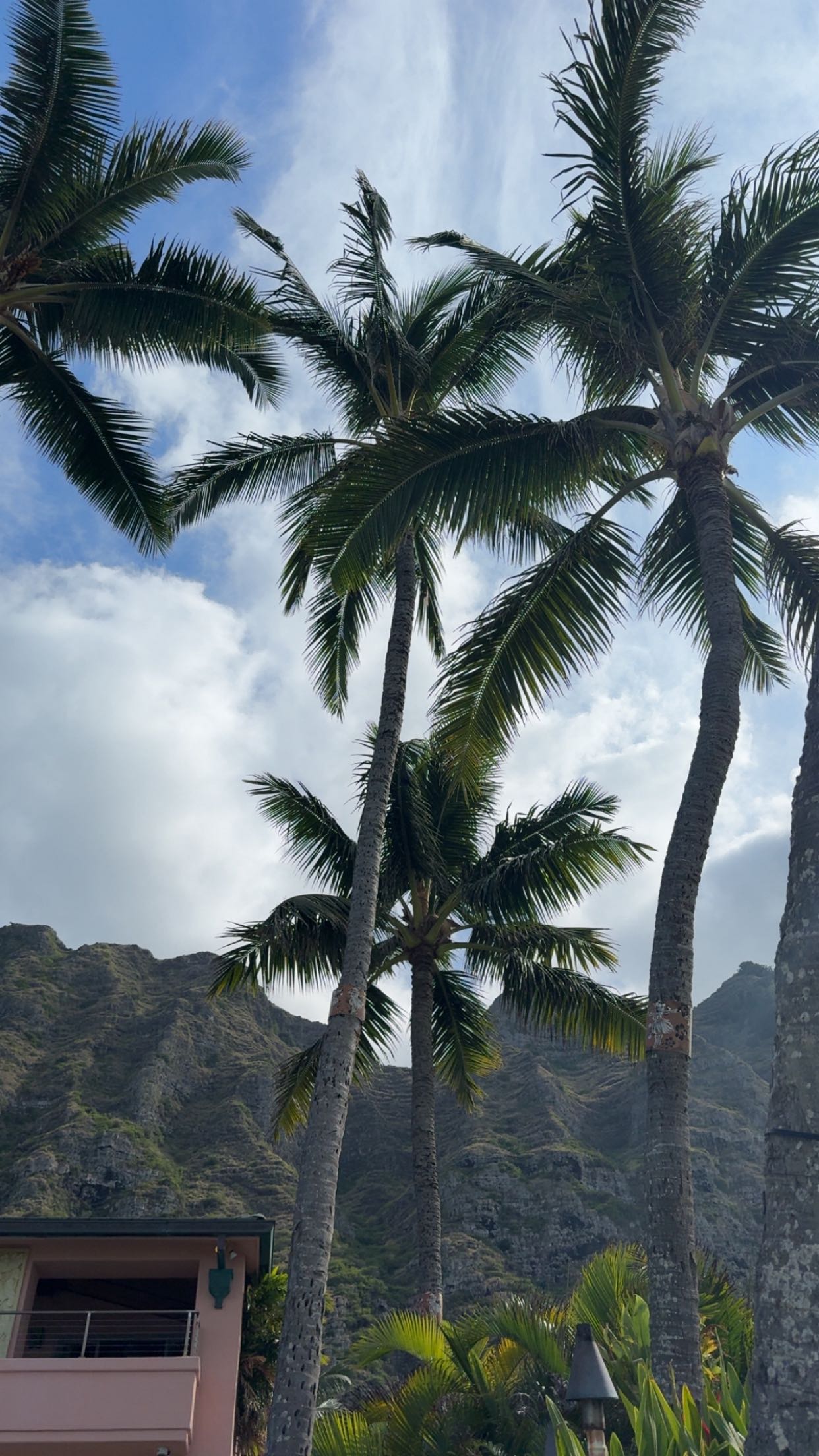 julia.filippo snapchat image archive image