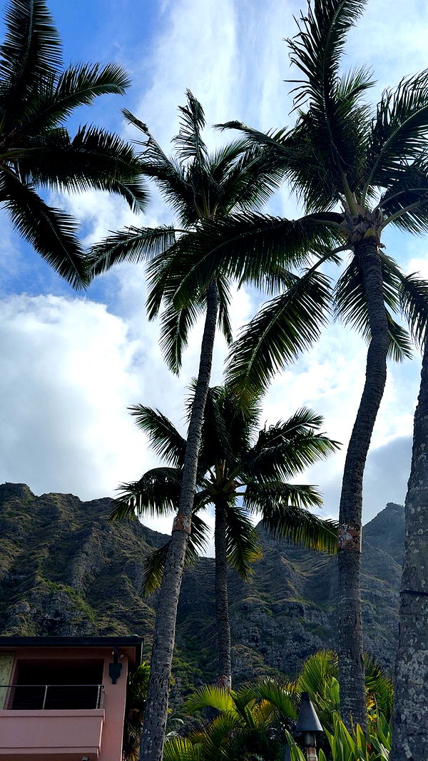 julia.filippo image ~ Altpins