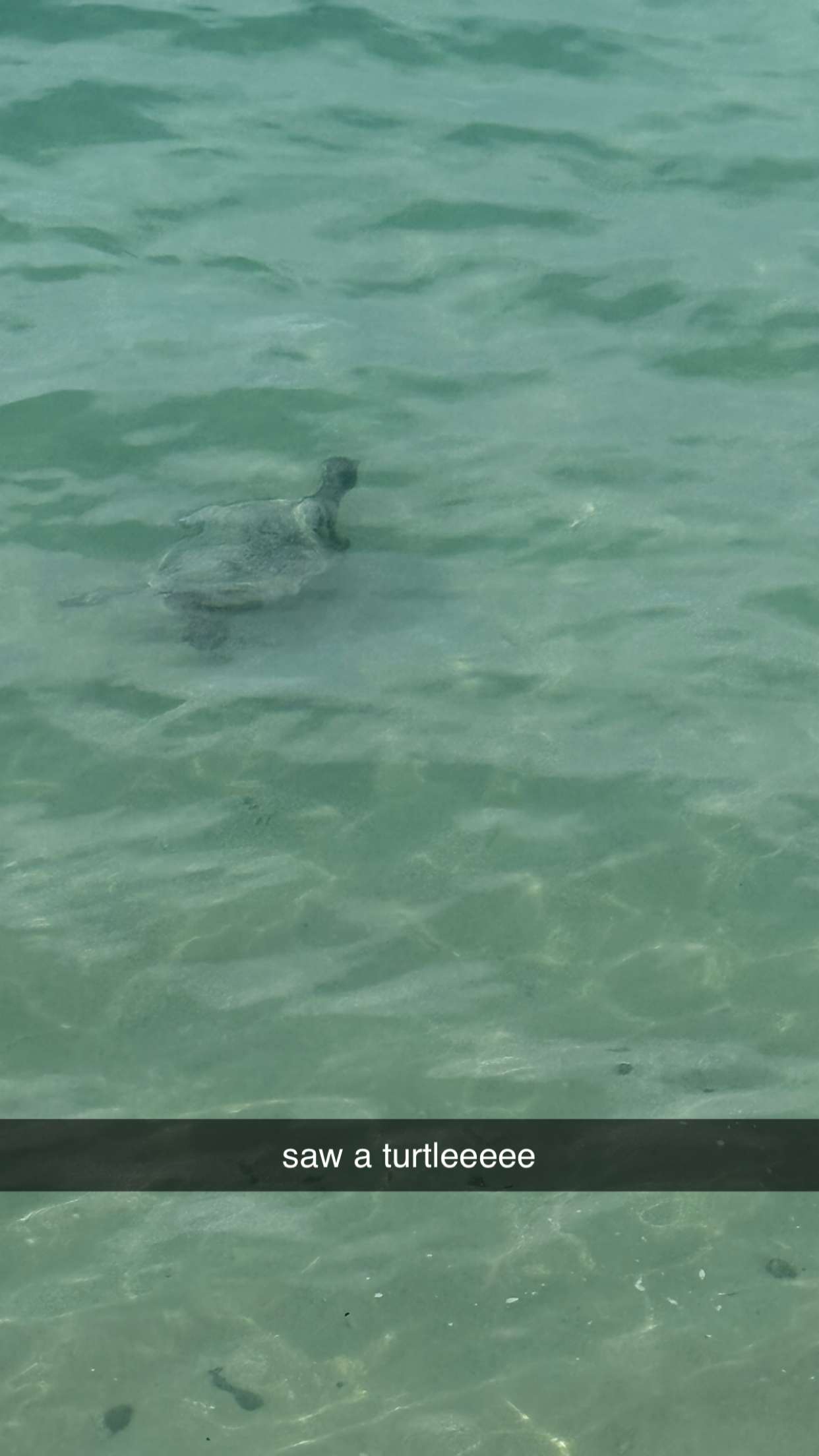 julia.filippo snapchat image archive image