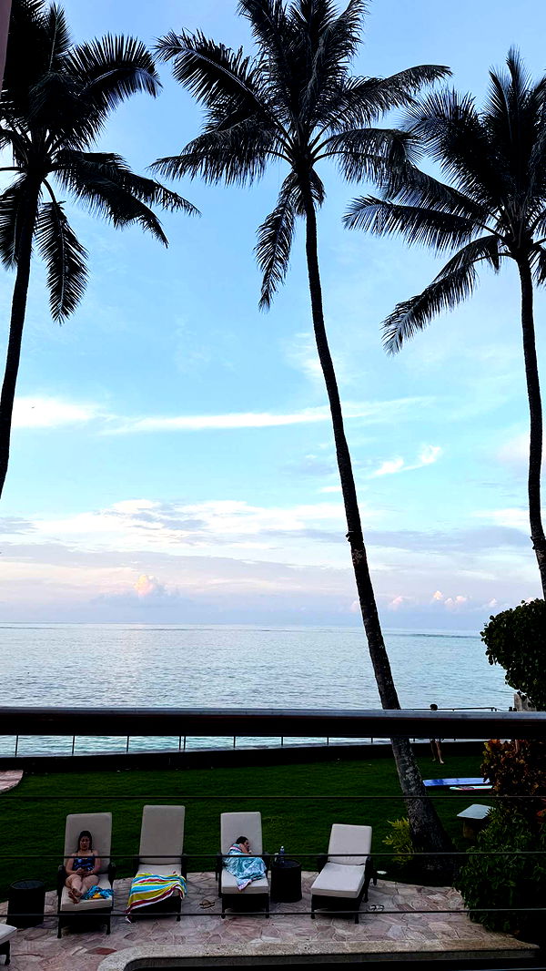 julia.filippo image ~ Altpins