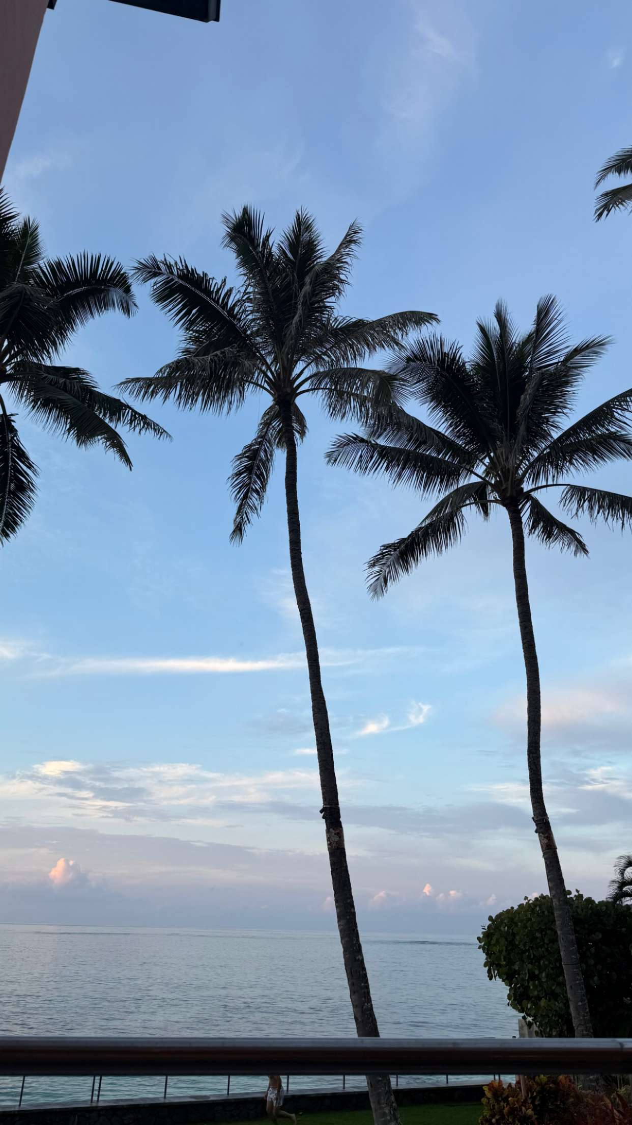 julia.filippo snapchat image archive image