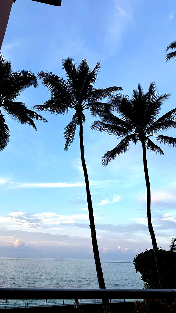 julia.filippo image ~ Altpins