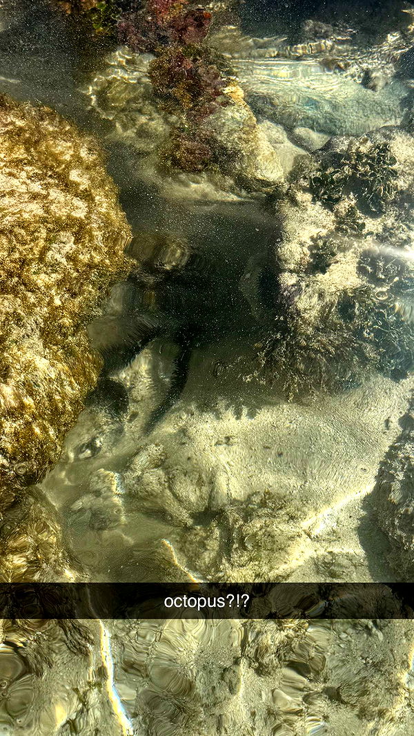 julia.filippo image ~ Altpins